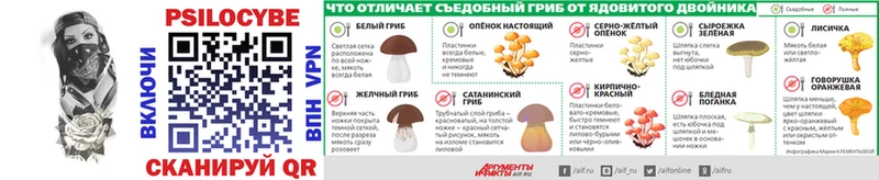 Галлюциногенные грибы GOLDEN TEACHER omg как войти Обнинск закладки