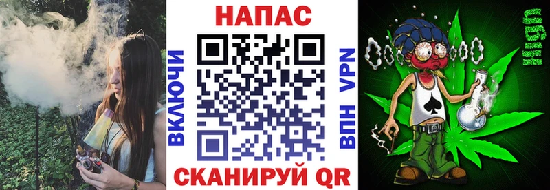 Канабис сатива  Обнинск 